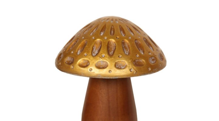Kinoko Wodden Mushrooms S/3