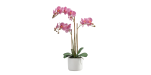 Ava Faux Potted 24h” Triple Stem Orchid – Pink