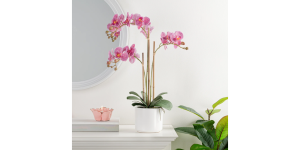 Ava Faux Potted 24h” Triple Stem Orchid – Pink