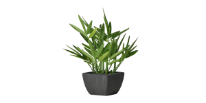 Bamboo 10h” Faux Potted Plant