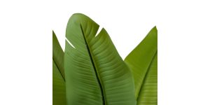 Banana Leaf Tree 47h” Potted Faux Plant