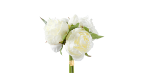 Blushing Peony 5 Bloom Bouquet – Creme