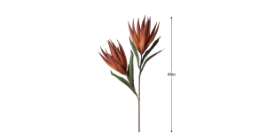 Desert Bird Of Paradise 2 Bloom 48L” Stem – Orange/Red