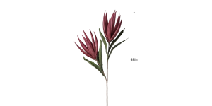 Desert Bird Of Paradise 2 Bloom 48L” Stem – Purple