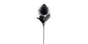 Desert Blooming Feather Pod 35L” Stem – Black