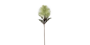 Desert Blooming Feather Pod 35L” Stem – Green