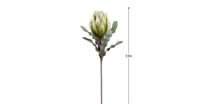 Desert Blooming Protea 33L” Stem – Green