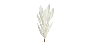 Desert Broad Leaf Flame Grass 38L” Stem – Antique White