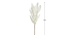 Desert Broad Leaf Flame Grass 38L” Stem – Antique White