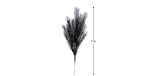 Desert Feather Pampas 47L” Stem – Black