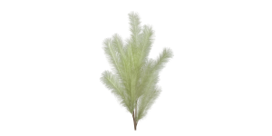 Desert Feather Pampas 47L” Stem – Green