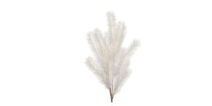 Desert Feather Pampas 47L” Stem – White