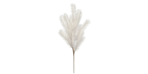 Desert Feather Pampas 47L” Stem – White