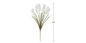 Desert Feather Pampas Grass Multi Bloom Stem