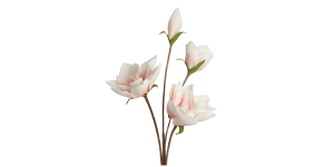 Desert Four Bloom Magnolia 41L” Stem – Pink