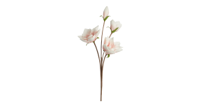 Desert Four Bloom Magnolia 41L” Stem – Yellow