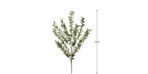 Desert Multi Bloom Eucalyptus 54L” Stem – Green