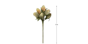 Desert Pinched Multi Pod Bouquet 31L” Stem – Peach