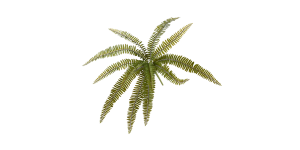 Fern 20.5L” Multi Leaf Bush Stem