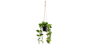 Ivy Hanging Faux Potted Plant With String Hanger (1)