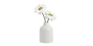 Komi 5.5h Ceramic Bottle Vase - White (3)