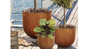 MEDIUM-POT---CORTEN5