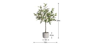 Olive Tree 28h” Cement Potted Faux Plant