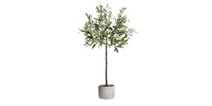 Olive Tree 37h” Cement Potted Faux Plant