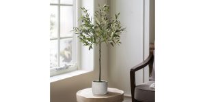 Olive Tree 37h” Cement Potted Faux Plant