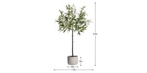 Olive Tree 37h” Cement Potted Faux Plant