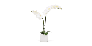 Orchid Potted Faux Double Stem 23″ – White