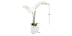 Orchid Potted Faux Double Stem 23″ – White