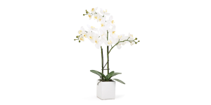 Orchid Potted Faux Triple Stem 23″ – White