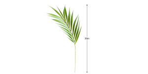 Palm Leaf 36L” Stem