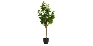 Peperomia Tree 51h” Potted Faux Plant