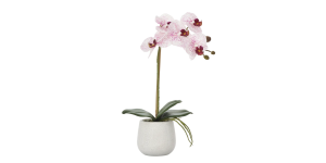 Phalaenopsis Potted 15 Faux Single Stem Orchid - Pink (1)