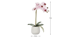 Phalaenopsis Potted 15″ Faux Single Stem Orchid – Pink