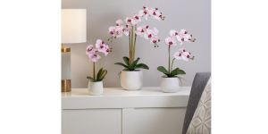 Phalaenopsis Potted 23″ Faux Triple Stem Orchid – Pink