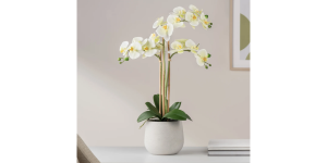 Phalaenopsis Potted 23″ Faux Triple Stem Orchid -Yellow