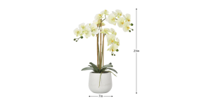 Phalaenopsis Potted 23″ Faux Triple Stem Orchid -Yellow