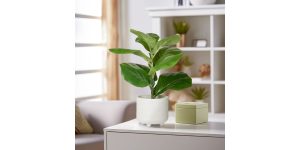 Riviera Ceramic Potted Faux 14h” Fiddle Leaf Fig Plant