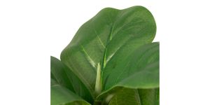 Riviera Ceramic Potted Faux 14h” Fiddle Leaf Fig Plant