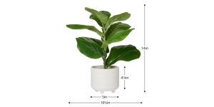 Riviera Ceramic Potted Faux 14h” Fiddle Leaf Fig Plant