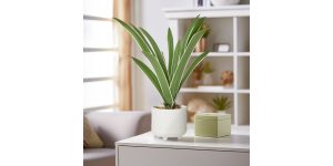 Riviera Ceramic Potted Faux 17h” Cymbidium Leaf Plant