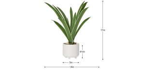 Riviera Ceramic Potted Faux 17h” Cymbidium Leaf Plant