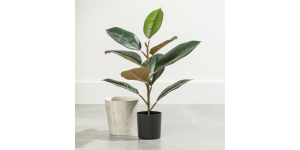 Rubber Tree 21h” Faux Potted Plant