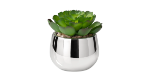 Silver Ball Potted Faux Succulent - Echeveria (1)