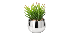 Silver Ball Potted Faux Succulent – Spike