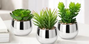 Silver Ball Potted Faux Succulent – Spike