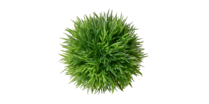 Spike Grass Ball 5″